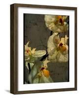 Bowman-Cristina Carra Caso-Framed Photographic Print