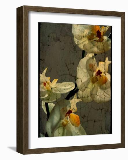 Bowman-Cristina Carra Caso-Framed Photographic Print