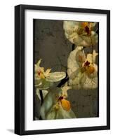 Bowman-Cristina Carra Caso-Framed Photographic Print