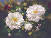 Full Blossom II-Bowmy-Framed Art Print