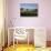 Bowness-On-Windermere, Bowness Bay, Lake District, Cumbria, England, United Kingdom-Philip Craven-Stretched Canvas displayed on a wall