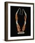 Bowsani-Style Beaded Necklace Made of Coral and Filigreed Silver Elements-null-Framed Giclee Print