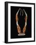 Bowsani-Style Beaded Necklace Made of Coral and Filigreed Silver Elements-null-Framed Giclee Print