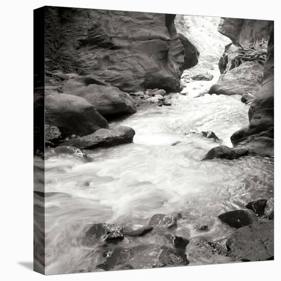 Box Canyon III-Dana Styber-Stretched Canvas