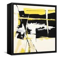 Box Canyon-Chris Paschke-Framed Stretched Canvas