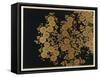 Box Decorated with Chrysanthemums-Uematsu Hobi-Framed Stretched Canvas