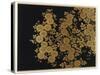 Box Decorated with Chrysanthemums-Uematsu Hobi-Stretched Canvas