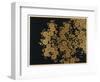 Box Decorated with Chrysanthemums-Uematsu Hobi-Framed Giclee Print