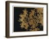 Box Decorated with Chrysanthemums-Uematsu Hobi-Framed Giclee Print