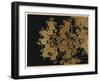 Box Decorated with Chrysanthemums-Uematsu Hobi-Framed Giclee Print