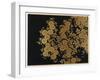 Box Decorated with Chrysanthemums-Uematsu Hobi-Framed Giclee Print