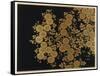 Box Decorated with Chrysanthemums-Uematsu Hobi-Framed Stretched Canvas