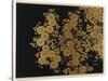 Box Decorated with Chrysanthemums-Uematsu Hobi-Stretched Canvas