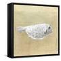 Box Fish, Sri Lanka, 2015-Lincoln Seligman-Framed Stretched Canvas