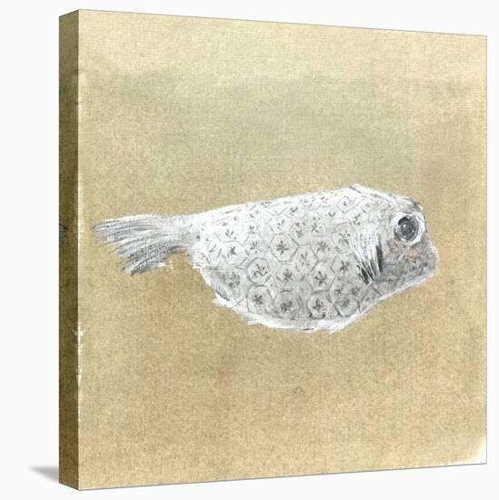 Box Fish, Sri Lanka, 2015-Lincoln Seligman-Stretched Canvas