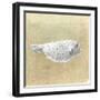 Box Fish, Sri Lanka, 2015-Lincoln Seligman-Framed Giclee Print