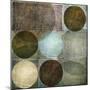 Box of Circles 1-Kristin Emery-Mounted Premium Giclee Print