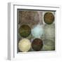 Box of Circles 1-Kristin Emery-Framed Art Print