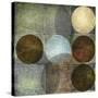 Box of Circles 2-Kristin Emery-Stretched Canvas