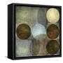 Box of Circles 2-Kristin Emery-Framed Stretched Canvas