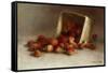 Box of Strawberries, 1897-Joseph Decker-Framed Stretched Canvas