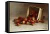 Box of Strawberries, 1897-Joseph Decker-Framed Stretched Canvas