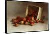 Box of Strawberries, 1897-Joseph Decker-Framed Stretched Canvas