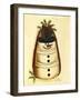 Box Snowman-Debbie McMaster-Framed Giclee Print