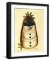 Box Snowman-Debbie McMaster-Framed Giclee Print