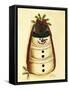 Box Snowman-Debbie McMaster-Framed Stretched Canvas