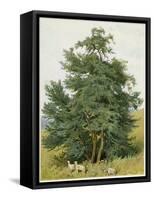 Box Tree with Lambs-null-Framed Stretched Canvas