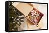 Box with Chistmas Ornaments Next to Christmas Tree, Munich, Bavaria, Germany-Dario Secen-Framed Stretched Canvas