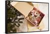 Box with Chistmas Ornaments Next to Christmas Tree, Munich, Bavaria, Germany-Dario Secen-Framed Stretched Canvas