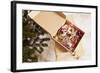 Box with Chistmas Ornaments Next to Christmas Tree, Munich, Bavaria, Germany-Dario Secen-Framed Photographic Print