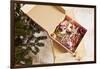 Box with Chistmas Ornaments Next to Christmas Tree, Munich, Bavaria, Germany-Dario Secen-Framed Photographic Print
