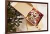 Box with Chistmas Ornaments Next to Christmas Tree, Munich, Bavaria, Germany-Dario Secen-Framed Photographic Print