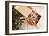 Box with Chistmas Ornaments Next to Christmas Tree, Munich, Bavaria, Germany-Dario Secen-Framed Photographic Print