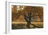 Boxelder's Autumn Tree-Amanda Lee Smith-Framed Photographic Print