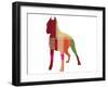 Boxer 2-NaxArt-Framed Art Print