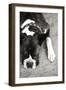 Boxer Black and White-Karyn Millet-Framed Photographic Print