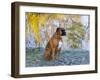 Boxer in Frost-Lynn M^ Stone-Framed Premium Photographic Print