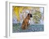 Boxer in Frost-Lynn M^ Stone-Framed Premium Photographic Print