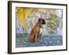 Boxer in Frost-Lynn M^ Stone-Framed Photographic Print