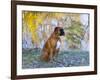 Boxer in Frost-Lynn M^ Stone-Framed Photographic Print