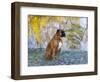 Boxer in Frost-Lynn M^ Stone-Framed Photographic Print