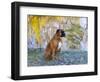 Boxer in Frost-Lynn M^ Stone-Framed Photographic Print