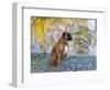 Boxer in Frost-Lynn M^ Stone-Framed Photographic Print