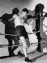 Laminate