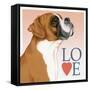 Boxer Love-Tomoyo Pitcher-Framed Stretched Canvas