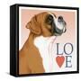 Boxer Love-Tomoyo Pitcher-Framed Stretched Canvas